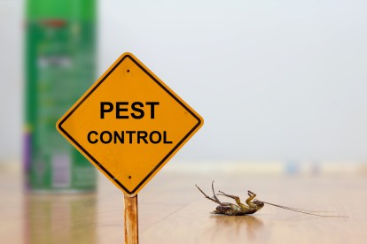 Pest Contol in Rickmansworth, Chorleywood, Croxley Green, WD3. Call Now 020 8166 9746